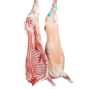 Mutton whole