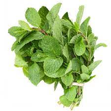 Podina