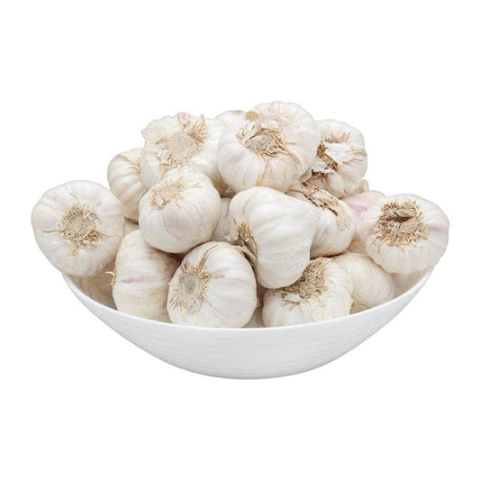 Lahsan (garlic) china